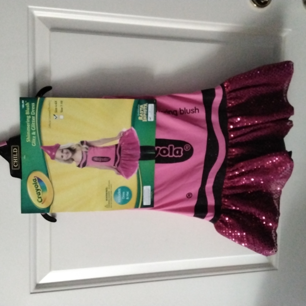 Crayola Shimmering Blush Kids Costume Dress - Pink size 4-6